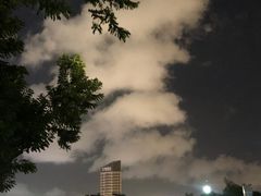 -万绿园