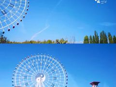 -特克斯八卦城