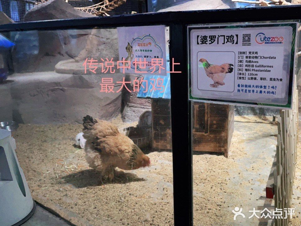 周末溜娃好去处~娃开心，你想做啥就做啥