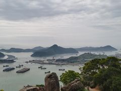 -花竹村