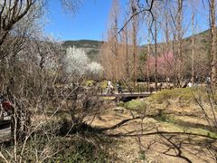 -国家植物园南园