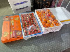 -78线水果批发市场精品厅五号
