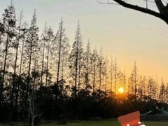 -前小桔亲子创意农场·草莓采摘·露营烧烤