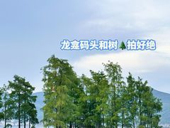 -昆百大泰业城
