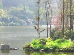 -重庆彩云湖湿地公园