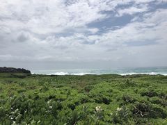 -龙坑生态保护区