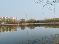 -大兴滨河森林公园