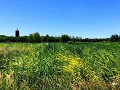 -永定河休闲森林公园