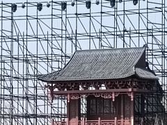 -丁香湖公园