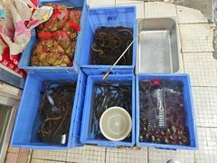 -棠记大排档(海珠店)