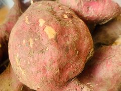 -前小桔亲子创意农场·草莓采摘·露营烧烤