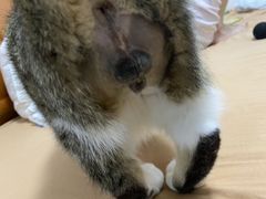 -联合动物医院(光谷诊疗中心)