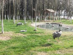 -艾溪湖湿地公园