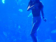 -太平洋海底世界