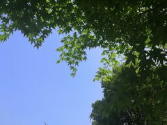 -龙头寺公园