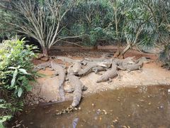 -海南热带野生动植物园