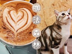 -咖法森林·咖啡  酒吧(天河店)