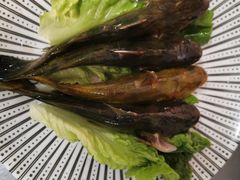 -马家斑.鲜鱼火锅(松湖万科店)