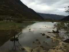 -黄龙山原始森林景区
