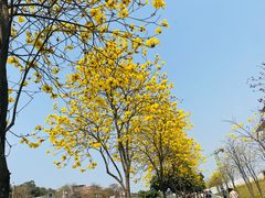 -长洲岛
