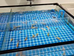 -大商超市(银岛店)