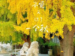 -北京石刻艺术博物馆