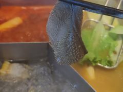 -大熊猫毛肚火锅(烟台万象汇店)