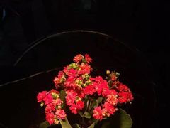 -巴别塔法餐舍(朝阳店)