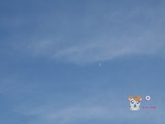 -敦煌雅丹国家地质公园