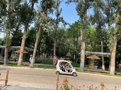 -北京野生动物园