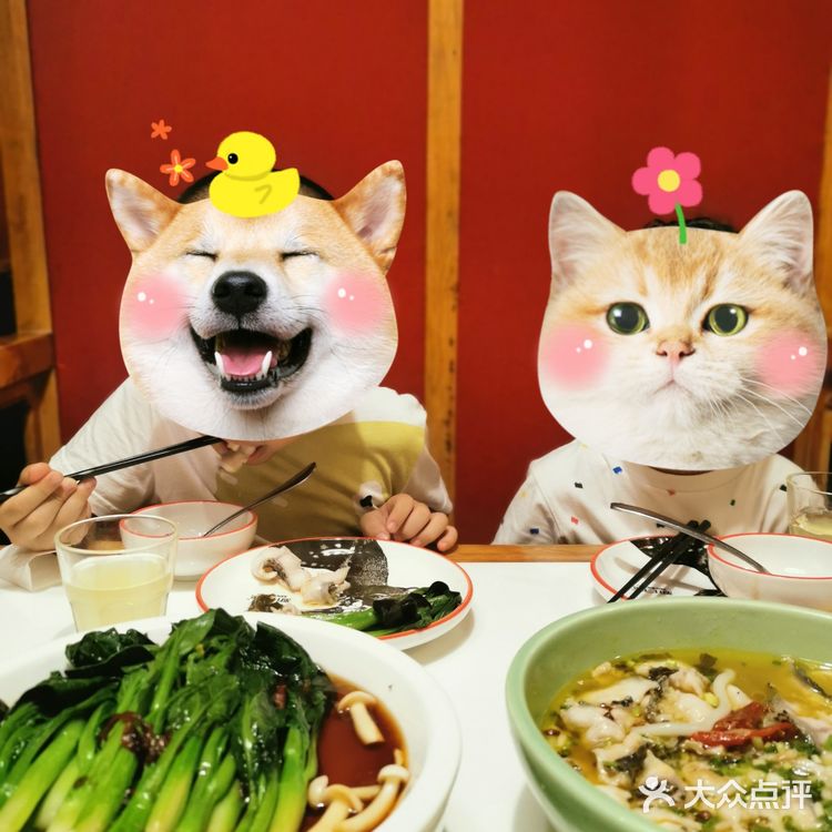 念念不忘——新白鹿