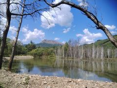 -洮儿河国家湿地公园