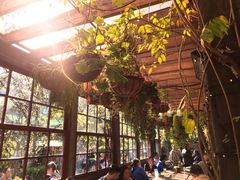 -The Grounds of Alexandria