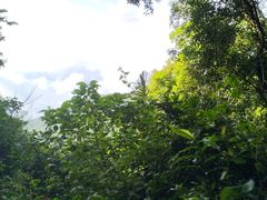 -海南热带雨林国家公园吊罗山景区