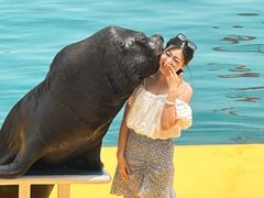 -秦皇岛乐岛海洋王国