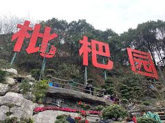 -枇杷园食为鲜火锅(南山店)
