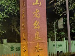 -老幺泉水鸡
