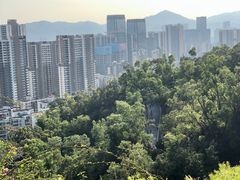 -板樟山森林公园