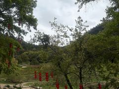 -广州市石门国家森林公园