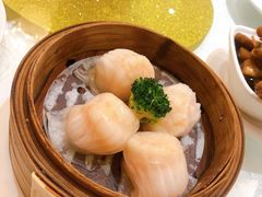 虾饺-老广新意(奥园店)