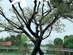 -西太湖揽月湾