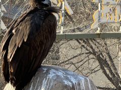 -石家庄市动物园