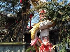 -黄龙溪古镇-古龙寺