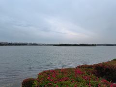 -丁香湖公园