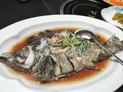 -金星大酒店(东街店)