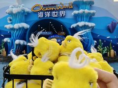 -大连圣亚海洋世界