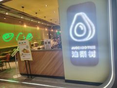 -油梨树AVOCADO TREE(望京店)