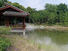 -梁鸿国家湿地公园