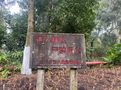 -狐尾山公园