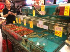 水产区-鲜入围煮花胶鸡海鲜火锅